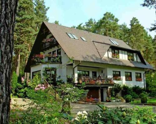 Pension Tannenspitze Wittenberg Ngoại thất bức ảnh
