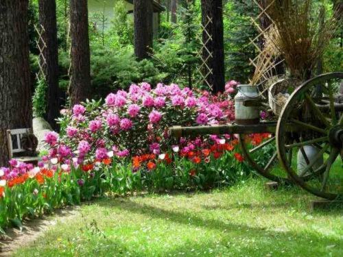 Pension Tannenspitze Wittenberg Ngoại thất bức ảnh